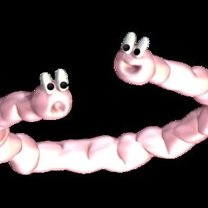 Meet your Posher, Bea